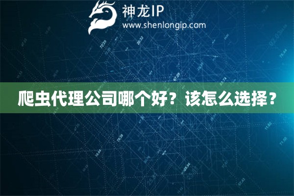 爬虫代理公司哪个好？该怎么选择？