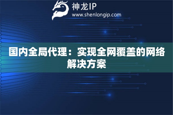 国内全局代理：实现全网覆盖的网络解决方案