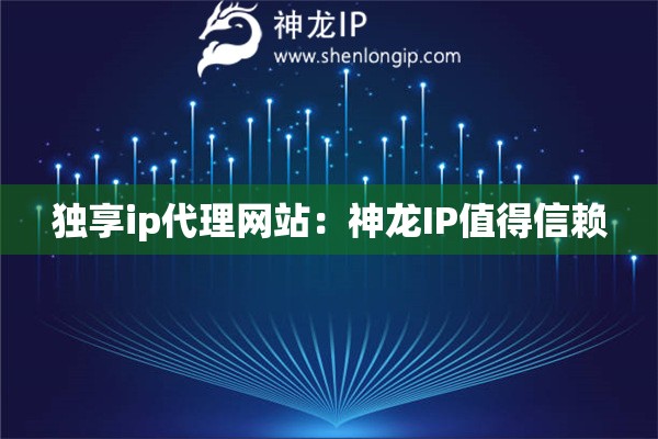 独享ip代理网站：神龙IP值得信赖