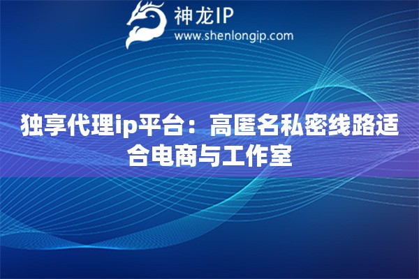 独享代理ip平台:高匿名私密线路适合电商与工作室 独享代理ip平台:高匿名私密线路适合电商与工作室