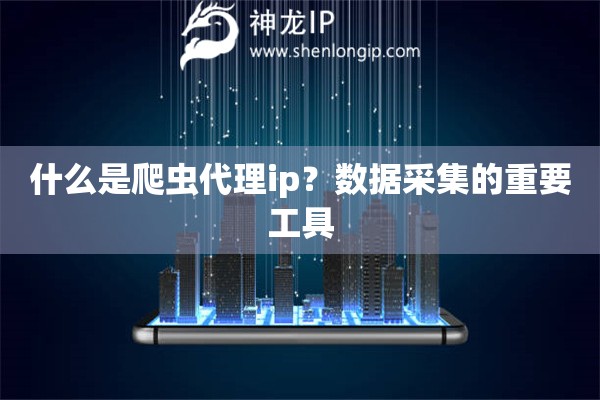 什么是爬虫代理ip？数据采集的重要工具