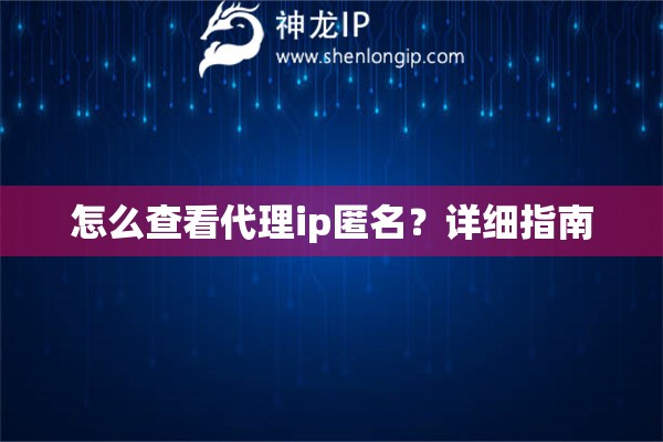 怎么查看代理ip匿名？详细指南