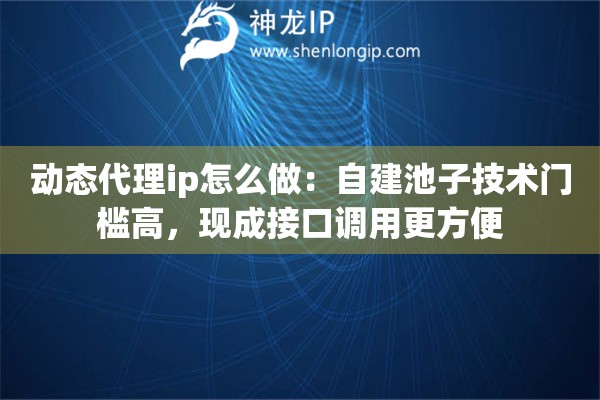 动态代理ip怎么做：自建池子技术门槛高，现成接口调用更方便