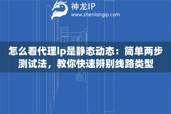 怎么看代理ip是静态动态：简单两步测试法，教你快速辨别线路类型