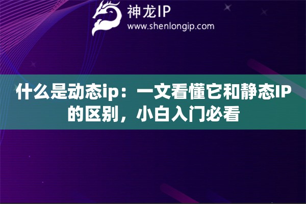 什么是动态ip：一文看懂它和静态IP的区别，小白入门必看