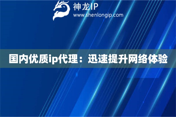 国内优质ip代理：迅速提升网络体验