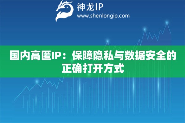 国内高匿IP：保障隐私与数据安全的正确打开方式