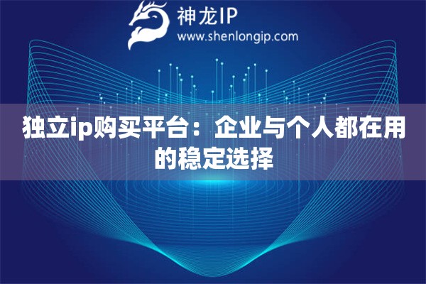 独立ip购买平台：企业与个人都在用的稳定选择