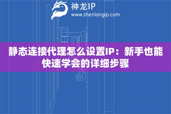 静态连接代理怎么设置IP：新手也能快速学会的详细步骤