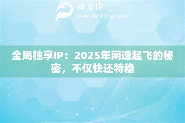 全局独享IP：2025年网速起飞的秘密，不仅快还特稳