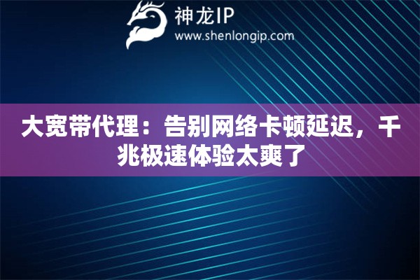 大宽带代理：告别网络卡顿延迟，千兆极速体验太爽了