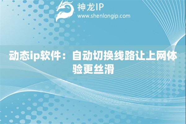 动态ip软件：自动切换线路让上网体验更丝滑