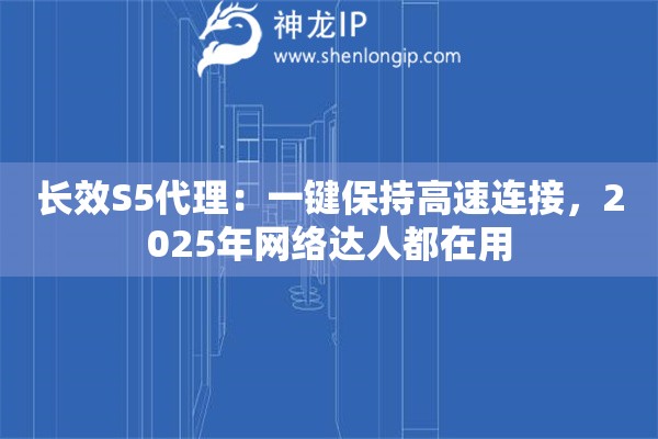 长效S5代理：一键保持高速连接，2025年网络达人都在用