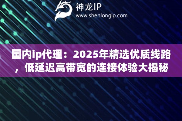 国内ip代理：2025年精选优质线路，低延迟高带宽的连接体验大揭秘