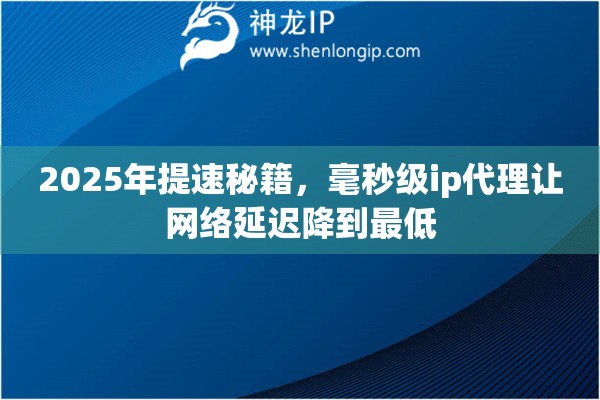 2025年提速秘籍，毫秒级ip代理让网络延迟降到最低