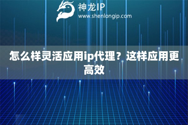 怎么样灵活应用ip代理？这样应用更高效