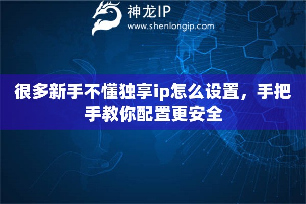 很多新手不懂独享ip怎么设置，手把手教你配置更安全