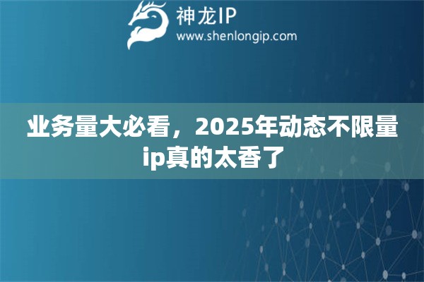 业务量大必看，2025年动态不限量ip真的太香了