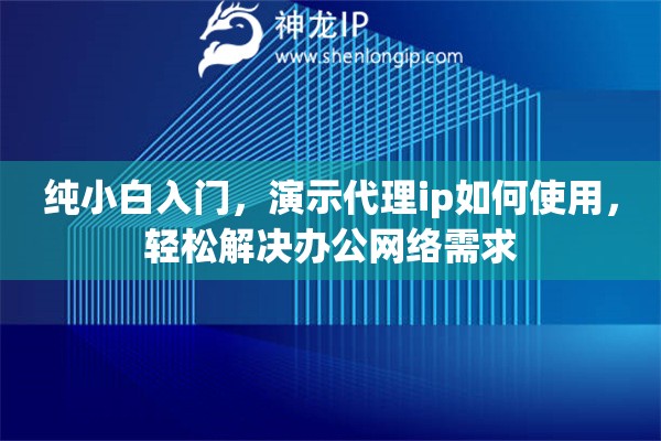 纯小白入门，演示代理ip如何使用，轻松解决办公网络需求