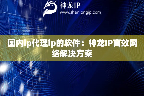 国内ip代理ip的软件：神龙IP高效网络解决方案