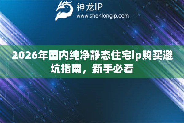 2026年国内纯净静态住宅ip购买避坑指南,新手必看 2026年国内纯净静态住宅ip购买避坑指南,新手必看