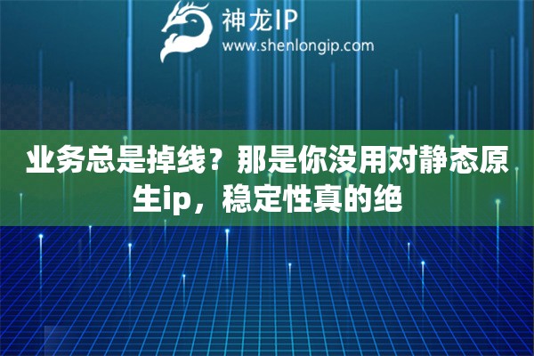 业务总是掉线？那是你没用对静态原生ip，稳定性真的绝