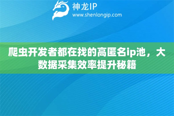 爬虫开发者都在找的高匿名ip池，大数据采集效率提升秘籍