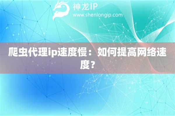 爬虫代理ip速度慢：如何提高网络速度？