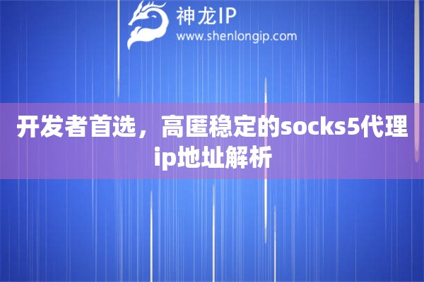 开发者首选，高匿稳定的socks5代理ip地址解析