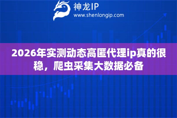 2026年实测动态高匿代理ip真的很稳，爬虫采集大数据必备