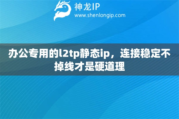 办公专用的l2tp静态ip，连接稳定不掉线才是硬道理
