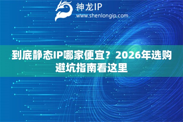 到底静态IP哪家便宜？2026年选购避坑指南看这里