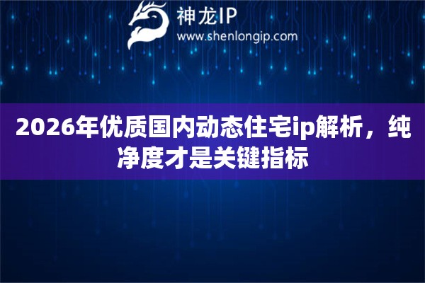 2026年优质国内动态住宅ip解析，纯净度才是关键指标