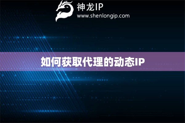 如何获取代理的动态IP