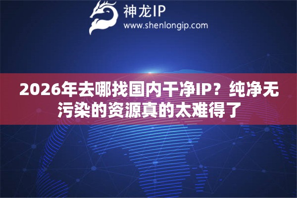 2026年去哪找国内干净IP？纯净无污染的资源真的太难得了