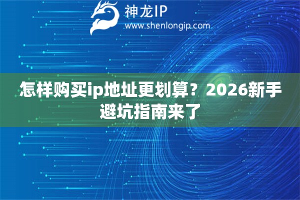怎样购买ip地址更划算？2026新手避坑指南来了