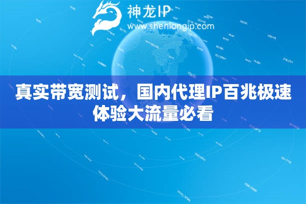 真实带宽测试，国内代理IP百兆极速体验大流量必看