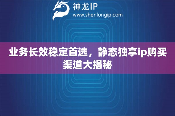 业务长效稳定首选，静态独享ip购买渠道大揭秘