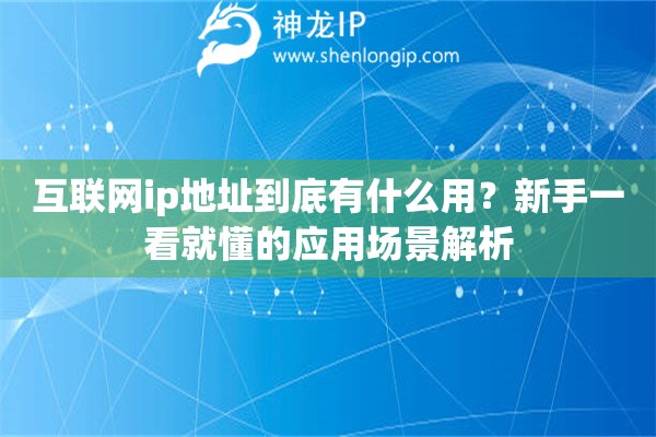 互联网ip地址到底有什么用？新手一看就懂的应用场景解析