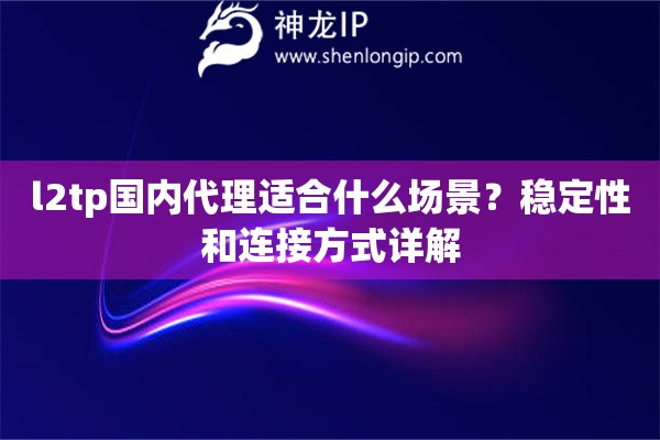 l2tp国内代理适合什么场景？稳定性和连接方式详解