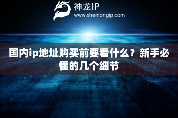 国内ip地址购买前要看什么？新手必懂的几个细节