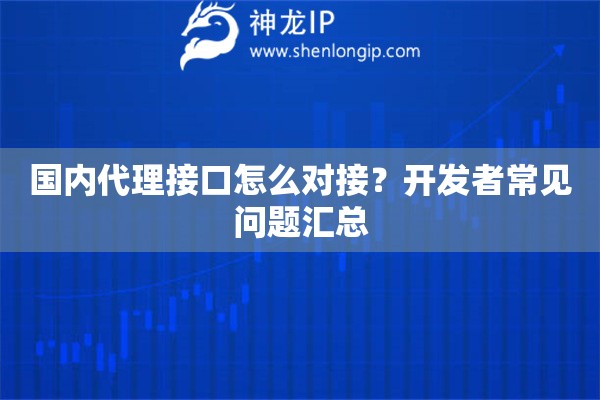 国内代理接口怎么对接？开发者常见问题汇总
