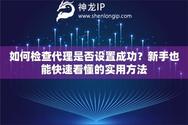 如何检查代理是否设置成功？新手也能快速看懂的实用方法
