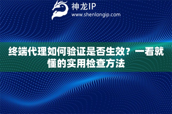 终端代理如何验证是否生效？一看就懂的实用检查方法