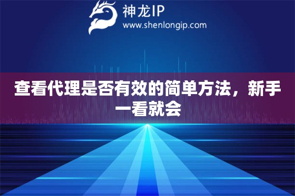 查看代理是否有效的简单方法，新手一看就会