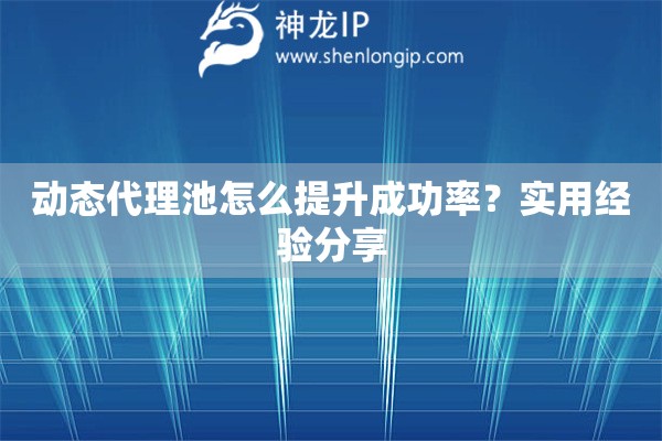 动态代理池怎么提升成功率？实用经验分享