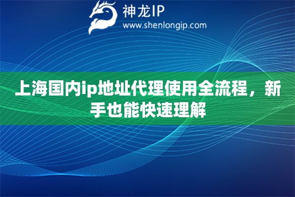 上海国内ip地址代理使用全流程,新手也能快速理解 上海国内ip地址代理使用全流程,新手也能快速理解