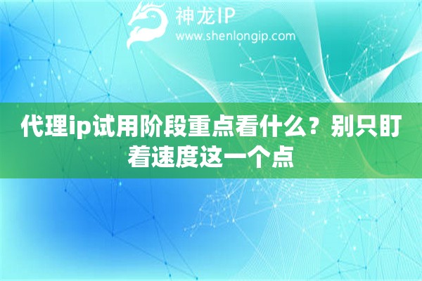 代理ip试用阶段重点看什么？别只盯着速度这一个点