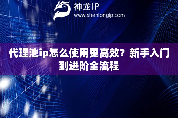 代理池ip怎么使用更高效？新手入门到进阶全流程