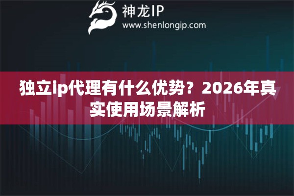 独立ip代理有什么优势？2026年真实使用场景解析